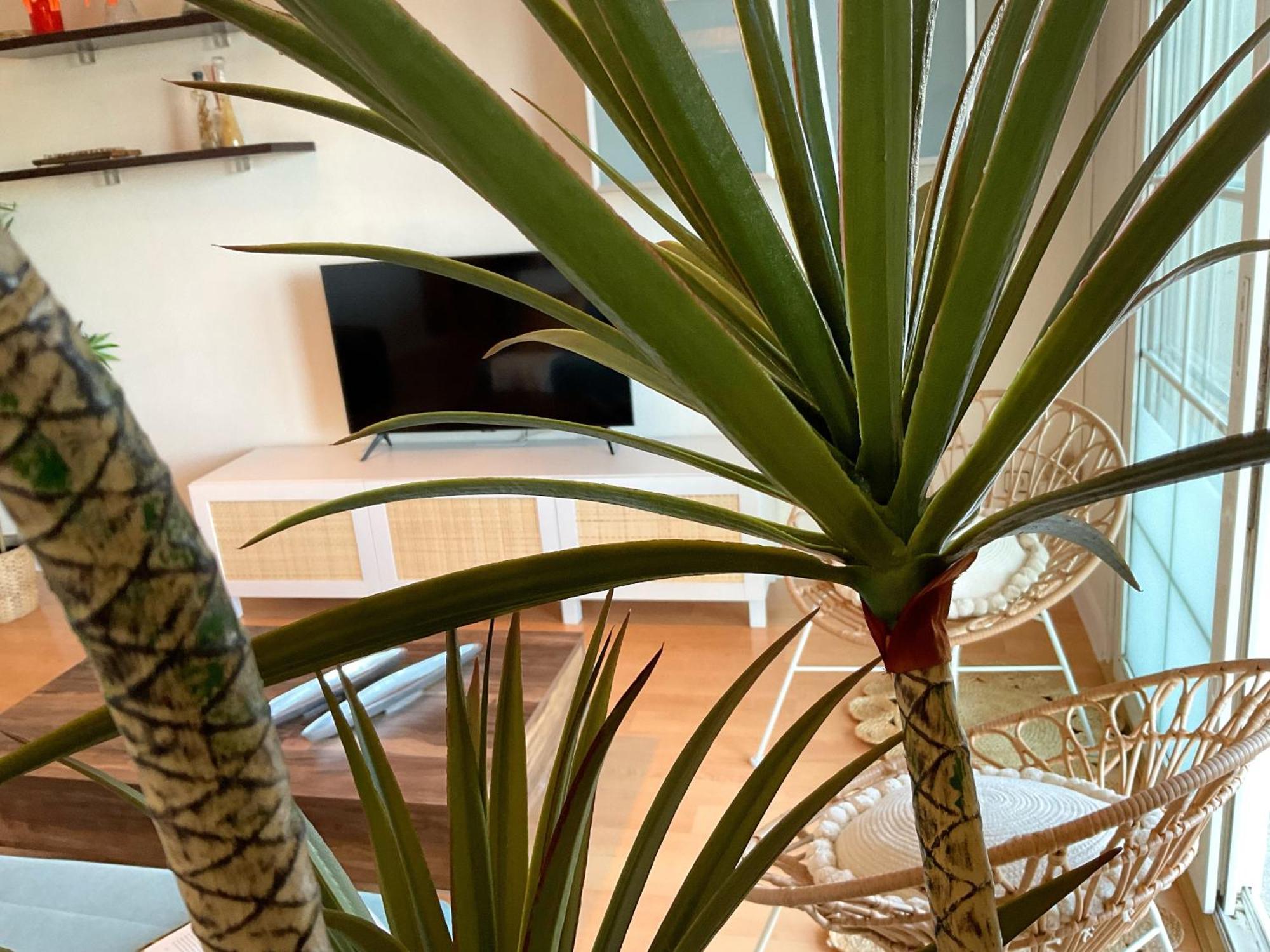Ks Golf Playa - Kaleria Suites Almería Dış mekan fotoğraf